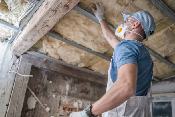 Best Insulation Maintenance and Repair in Toro Nyon, CA