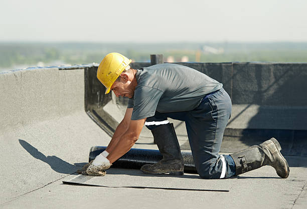 Best Spray Foam Insulation in Toro Nyon, CA