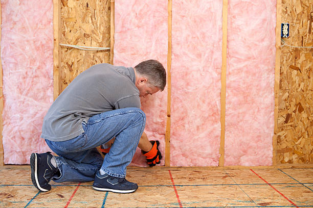 Types of Insulation We Offer in Toro Canyon, CA