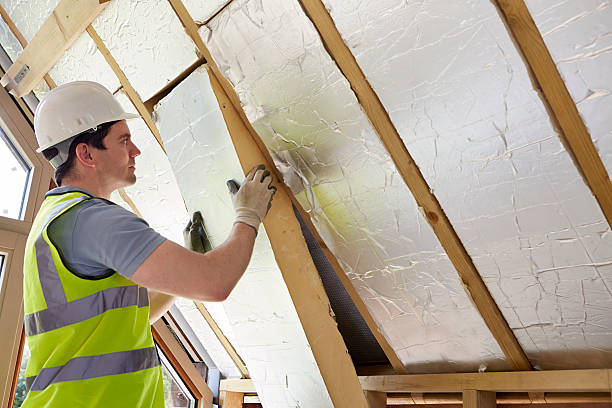 Best Specialized Insulation Services in Toro Nyon, CA